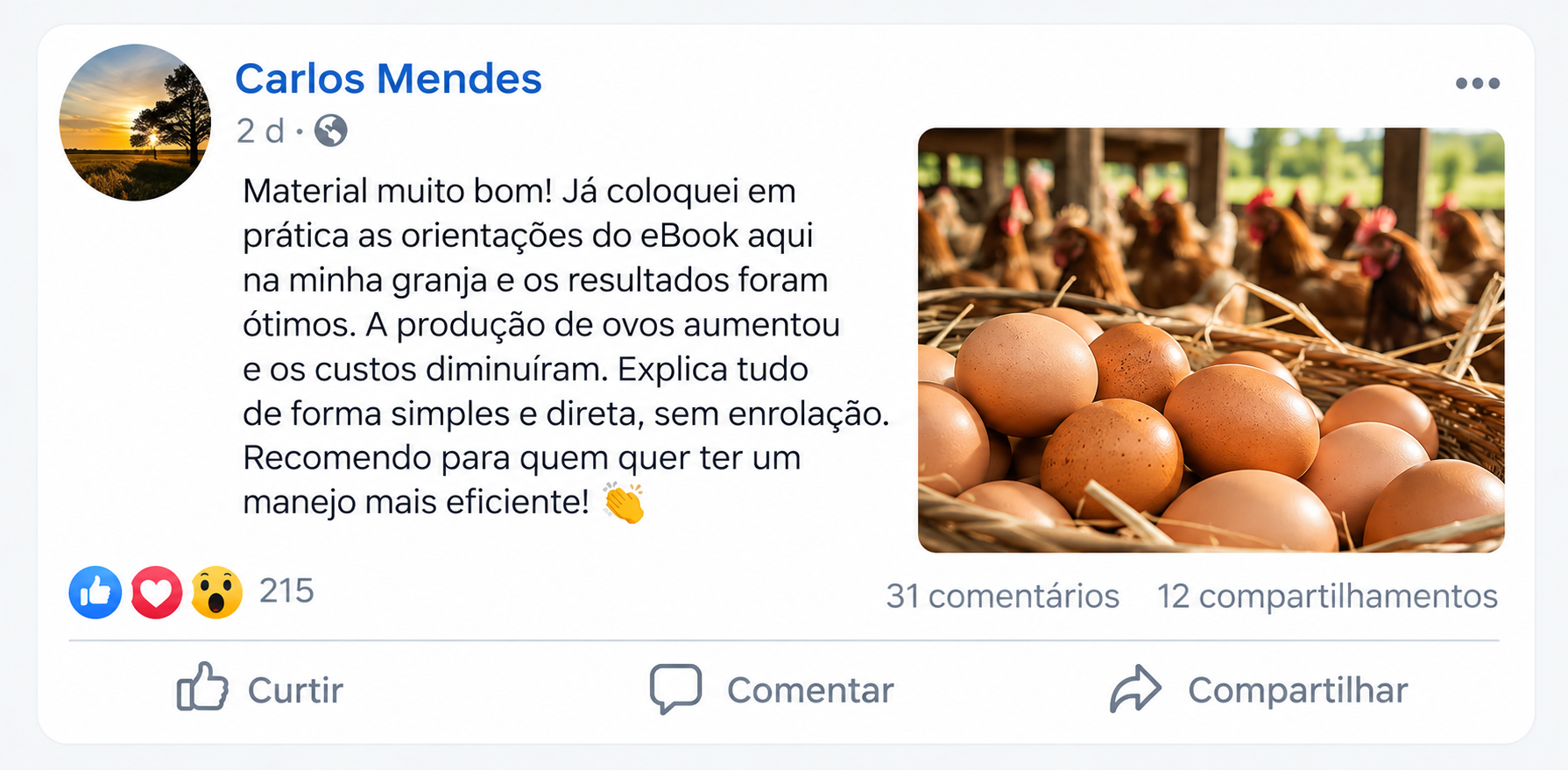 Foto do depoimento real de uma pessoa que utiliza o Método Ovos de Ouro